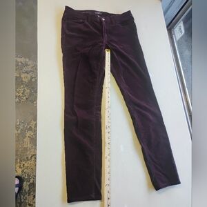 Ann Taylor Loft Plum Corduroy Skinny Pants